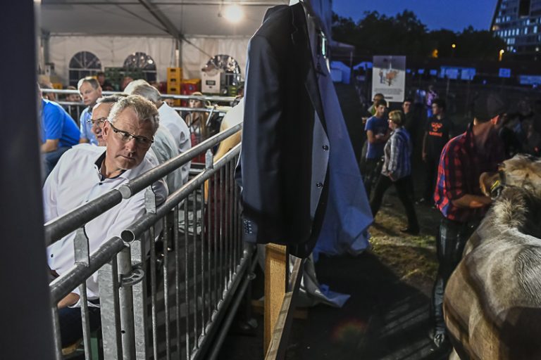 Contest- Siegermuni ESAF 2019 Zug – ESAF 2019 ZUG