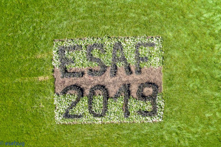 News – ESAF 2019 ZUG